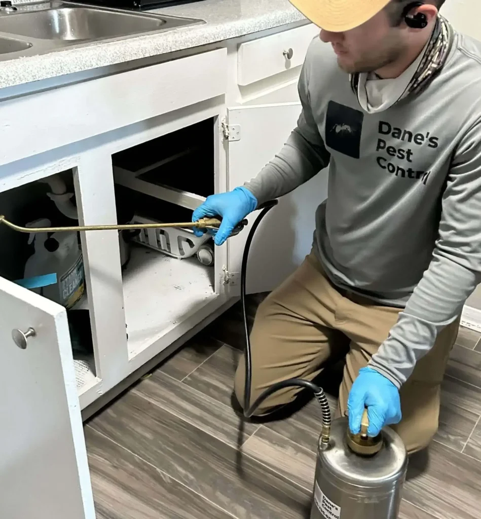 Cockroach control service being performed inside a home in Huntsville Alabama. Technician is spraying under the kitchen sink