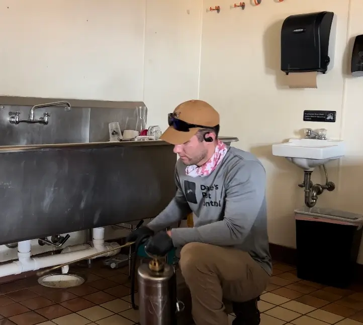 Pest Control service is being performed in a restaurant. The underside of the kitchen sink is being sprayed.